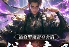宁川小说完整版《被修罗魔帝夺舍后，我杀疯了》免费阅读-推书机