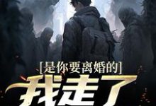 小说《是你要离婚的，我走了你又哭？》章节免费阅读-推书机