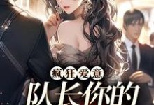 疯狂爱意：队长你的媳妇跑路啦小说全文阅读需要付费吗？寻找免费资源-推书机