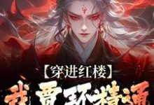 《穿进红楼，我贾环精通朝堂争斗》完整版小说免费阅读-推书机