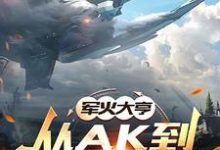 小说《军火大亨：从ak到星际航母》章节免费阅读-推书机