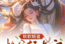 求推荐可以免费阅读软软娇妻,相爷轻点宠小说的网站-推书机