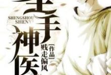 圣手神医完整版小说,圣手神医免费阅读-推书机
