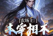 农场主:本宰相不参与宫斗了这本小说怎么样?免费在线阅读试试-推书机
