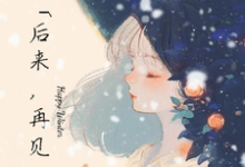 陆熠林沐小说《后来，再见》在线阅读-推书机