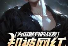 小说《为国献身的战友却被网红嫌晦气》在线章节阅读-推书机
