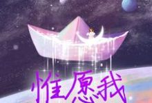 夏墨傅哲小说惟愿我不曾深爱完整版阅读-推书机