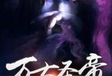 免费看万古圣帝小说的网站有哪些?-推书机