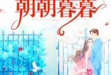 你是我的朝朝暮暮阮柠夏靳斯承小说免费阅读-推书机