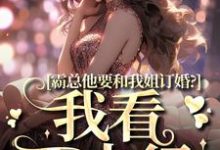 霸总他要和我姐订婚?我看不太行南稚陆凛安小说完结版章节在线阅读-推书机
