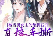 云子娆墨苍澜小说《被当男女主的垫脚石?直接手撕剧本》在线阅读-推书机