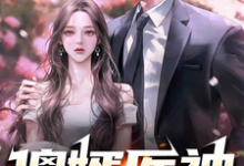 小说《傻婿医神》章节免费阅读-推书机