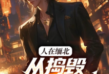 韩潇小说人在缅北,从捣毁科技园开始章节免费阅读-推书机