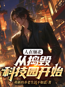 韩潇小说人在缅北，从捣毁科技园开始章节免费阅读