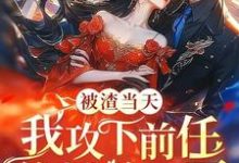 《被渣当天,我攻下前任的禁欲哥哥》沈舒薇小说免费阅读完整版-推书机