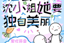 《渣公快滚,沈小姐她要独自美丽》完整版小说免费阅读-推书机
