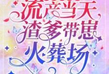 先救白月光？流产当天渣爹带崽火葬场小说的无弹窗阅读体验，寻找免费阅读网站-推书机