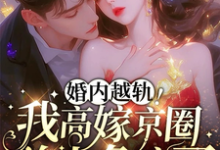 小说《婚内越轨！我高嫁京圈前夫急疯了》章节免费阅读-推书机