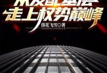 官梯：从发配基层走上权势巅峰小说阅读，官梯：从发配基层走上权势巅峰完结版-推书机