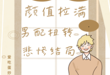 快穿颜值拉满，男配扭转悲惨结局小说阅读，快穿颜值拉满，男配扭转悲惨结局完结版-推书机