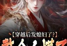 完整版小说《穿越后发媳妇了?整个人懵了》免费阅读-推书机