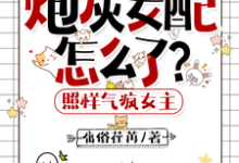 炮灰女配怎么了?照样气疯女主小说有没有完整的免费版本在线阅读?-推书机
