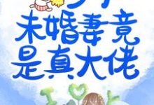 乡下未婚妻竟是真大佬小说阅读，乡下未婚妻竟是真大佬完结版-推书机