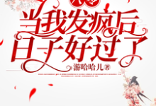八零,当我发疯后,日子好过了小说阅读,八零,当我发疯后,日子好过了完结版-推书机