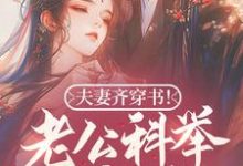 小说《夫妻齐穿书！老公科举我躺赢！》章节免费阅读-推书机
