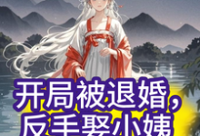 完结版《开局被退婚,反手娶小姨子?》章节阅读-推书机
