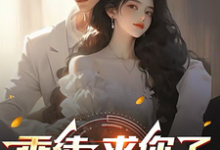 《乖徒,求你了,下山去吧》楚辰小说免费阅读完整版-推书机