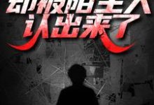 小说《出狱后打零工，却被陌生人认出来了》章节免费阅读-推书机