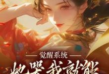 《觉醒系统:她哭我就能获得灵力》小说章节列表免费试读,陆羽上官玉凰小说在线阅读-推书机