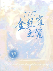 求TNT：金丝雀之笼小说免费资源
