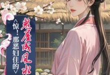 已完结小说《惊!那恶妇住的鬼屋成风水宝地了》章节免费阅读-推书机