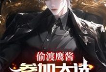 偷渡鹰酱,参加大选不过分吧?小说有没有完结版在线?-推书机