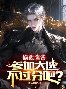 偷渡鹰酱，参加大选不过分吧？小说有没有完结版在线？