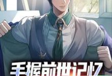 杨文小说完整版《手握前世记忆，我在官场杀疯了》免费阅读-推书机