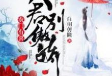 完整版《农门有喜：夫君别傲娇》小说免费阅读-推书机
