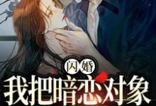 闪婚，我把暗恋对象抱回了家小说阅读，闪婚，我把暗恋对象抱回了家完结版-推书机