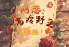 姜可池昼小说《网恋:高冷野王太难撩!》在线阅读-推书机