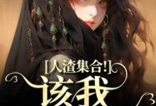 洛芷魏智小说在线章节免费阅读（人渣集合！该我收割了无弹窗无删减）-推书机