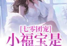 七零团宠:小福宝是锦鲤吖这本小说在哪里可以看?哪里有免费试读章节?-推书机