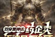 林焰小说双穿黑神话:药企卖还魂丹怎么了在线阅读章节-推书机