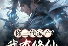 《你三代家产?我有修仙小世界资源》林十一完整版小说免费阅读-推书机