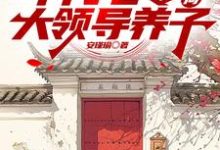 年代七零,开局大领导养子(周子安)完整版在线免费阅读-推书机