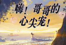 嗨！哥哥的心尖宠！完整版小说，嗨！哥哥的心尖宠！免费阅读-推书机