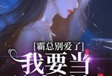 宋稚傅律小说《霸总别爱了,我要当单身辣妈》在线阅读-推书机