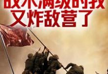 已完结小说《抗战：战术满级的我又炸敌营了》章节免费阅读-推书机