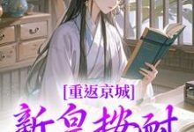 《重返京城，新皇按耐不住了！》小说免费阅读完整版-推书机